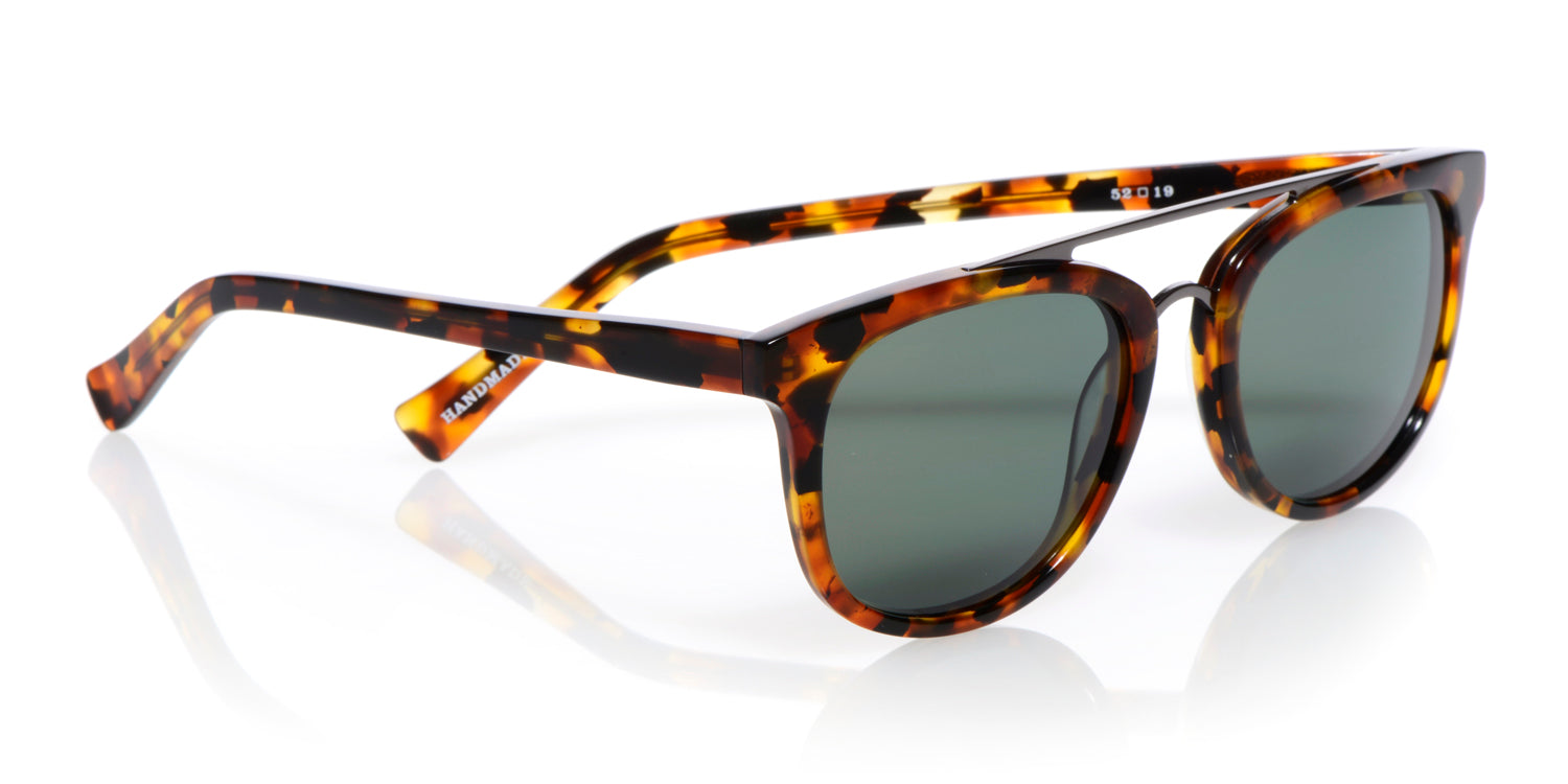 WEDGE POLARIZED 19
